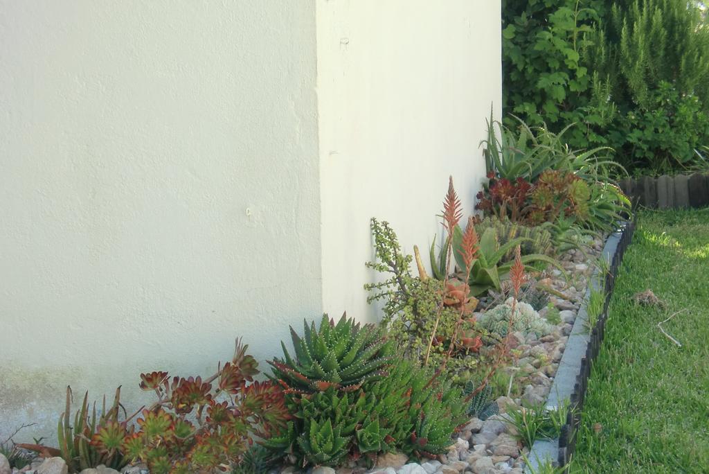 Quinta Da Harmonia Apartment Azeitao Exterior photo