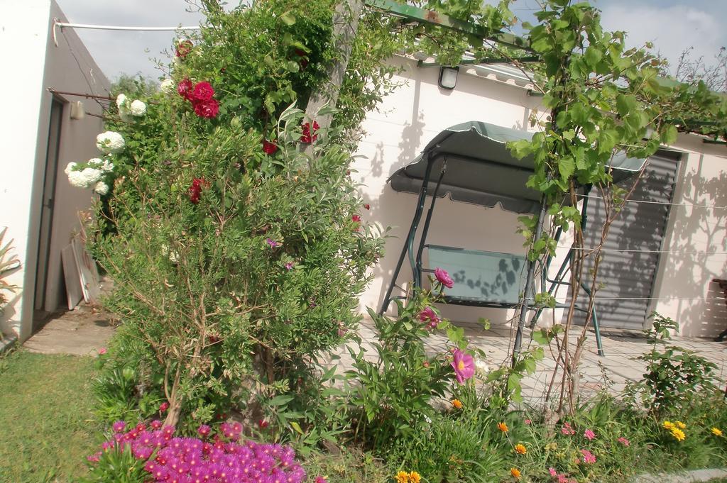 Quinta Da Harmonia Apartment Azeitao Exterior photo